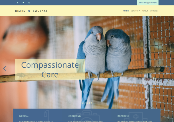 screenshot of beaks and squeaks website